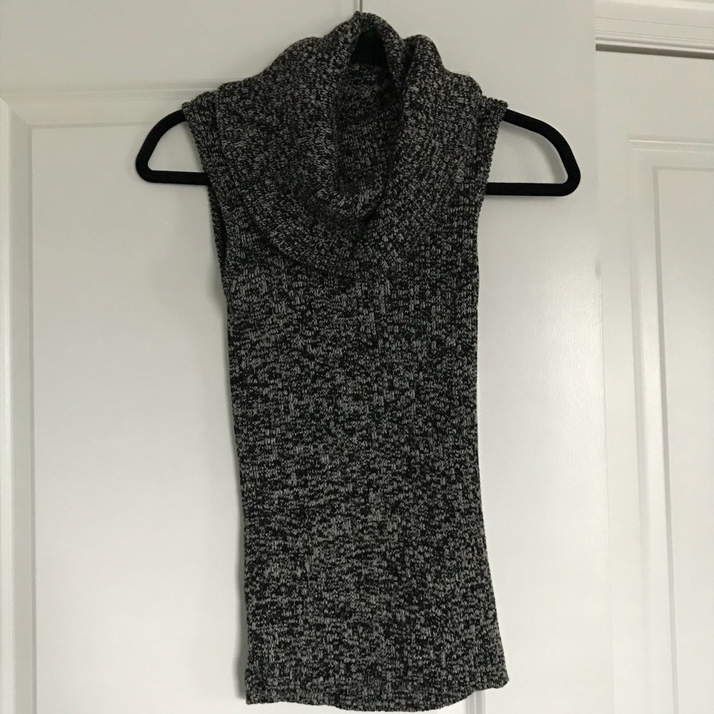 The Limited Sleeveless Turtle Neck Sweater